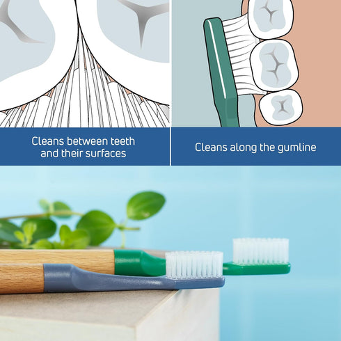 TEPE Choice Soft Toothbrush, Dental Toothbrush for Teeth Cleaning with 3 Replaceable Heads, Green