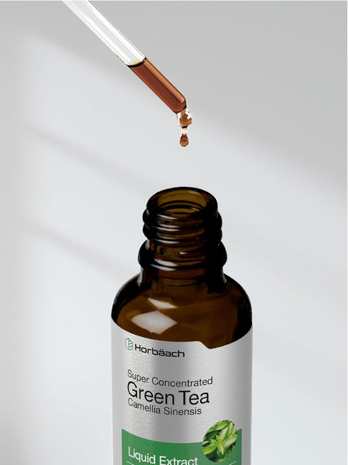 Horbaeach Green Tea Extract Liquid | 2 Fl Oz | Alcohol Free, Vegetarian Tincture, Non-GMO, Gluten Free