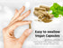 DR WAKDE's Nagkeshar Capsules (Musua ferrea) - 100% Natural Herbal Supplement, 60 Veggie Capsules