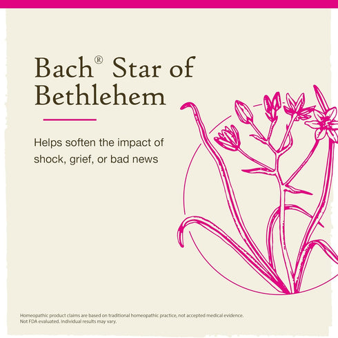 Bach Original Flower Remedies, Star of Bethlehem for Grief and Shock, Natural Homeopathic Flower Essence, Vegan, 10mL