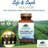 Pure Mountain Botanicals 90 Kosher Vegan Chlorella Capsules - 500mg Organic Broken Cell Wall Powder
