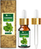 Salvia Cornmint Oil 15 ml - 100% Natural Pure Undiluted Essential Oil with Dropper