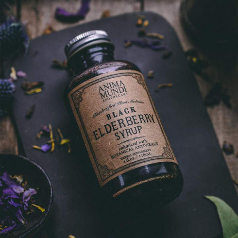 Anima Mundi Organic Black Elderberry Syrup - 4oz with Skullcap Baikal, Cordyceps, Reishi, Shiitake & Maitake Mushrooms