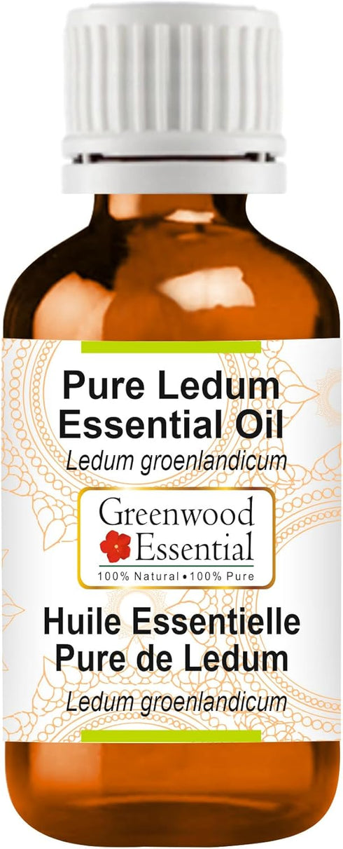 Pure Ledum Essential Oil - (Ledum groenlandicum) Steam Distilled - 15ml (0.50 oz)
