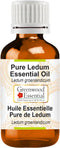 Pure Ledum Essential Oil - (Ledum groenlandicum) Steam Distilled - 15ml (0.50 oz)