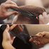 TASALON Hair Cutting Scissors Kit, All-in-1 Set with Professional Hair Shears, Thinning Scissor, Comb, Leather Bag