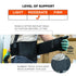 Ergodyne ProFlex 1600 Back Support Brace, Medium, Black, 9" Extended Support