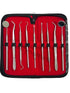 Premium Dental Tools, Plaque Remover for Teeth, Professional Hygiene Cleaning Kit, Stainless Tooth Scraper Set (SET of