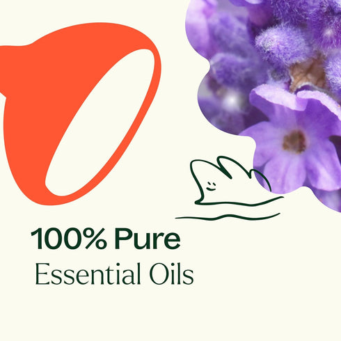Plant Therapy Sensual Essential Oil Blend for Couples - 10 mL (1/3 oz) - 100% Pure, Natural Aromatherapy