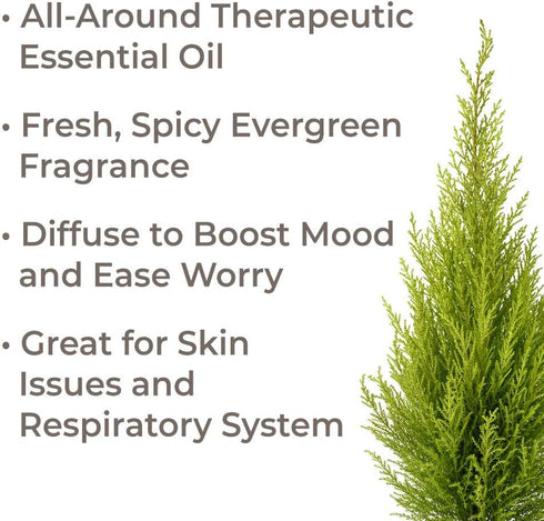 Plant Therapy Organic Cypress Essential Oil 10 mL (1/3 oz) 100% Pure, Undiluted, Therapeutic Grade