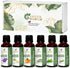 Essential Oils Set - 6 x 15ml - Top 6 Fragrances (Sweet