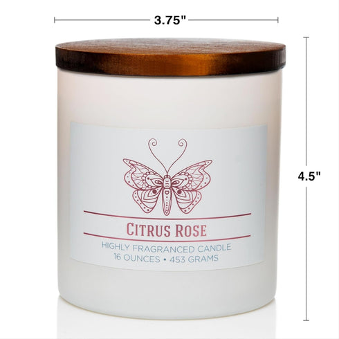 Citrus Rose Scented Jar Candle, Relaxing Aromatherapy Candle, 2 Wick White Jar, 60hr Burn