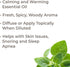 Plant Therapy Marjoram Sweet Essential Oil | 100% Pure, Undiluted, Natural Aromatherapy, Therapeutic Grade | 10 milliliter (1/3 ounce)