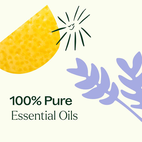 Set 6 10 mL (1/3 oz) 100% Plant Therapy Breathe Easy Essential Oil of Bottles Each, Lavender, Eucalyptus, Peppermint