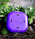 Pessary Box Discreet Pessary Storage case Container with Vented lid and Personal Lubricant Clip