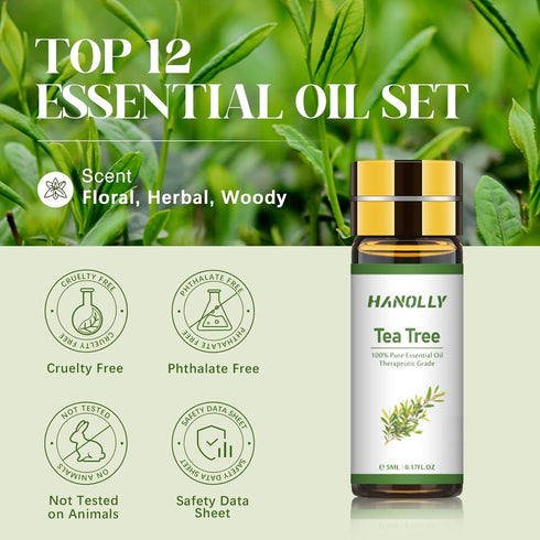 Essential Oils Set - 24 Pcs Essential Oil Kit for Diffuser, Aromatherapy, Massage, Skin Care, Soap & Candle Making - Premium Aromatherapy Diffuser Oils Set