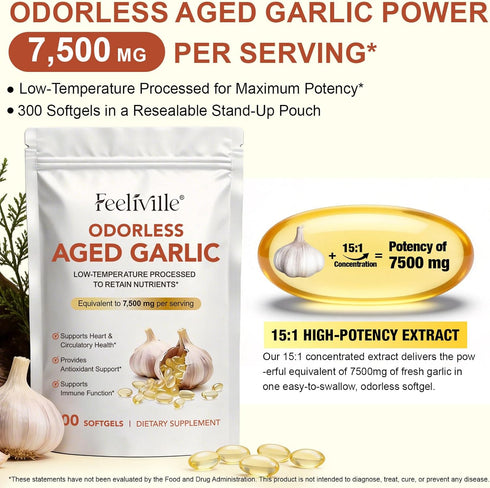 Zyloqj 7500mg 300 Immune Aged Garlic Extract Capsules, Odorless Garlic Capsules Softgels - Heart & Support
