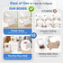 Shallive 4-Inch Small Cookie Boxes, 50 Pcs White Bakery Treat Boxes with Window for Gifting, To-go Containers