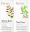 Clove Bud & Tea Tree Essential Oil Set - Aromatherapy Grade Essential