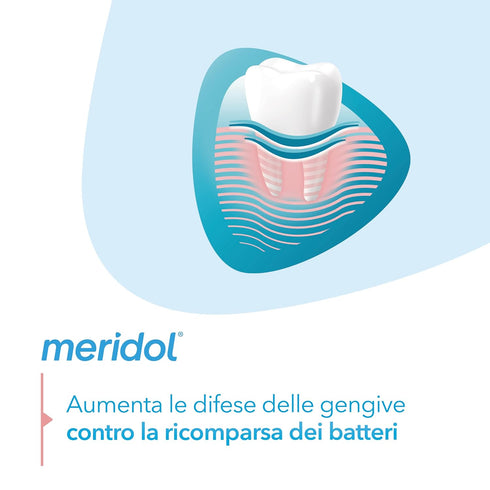Meridol Pack (2 75 ml) GENCIVES IRRITEES Dentifrice Double x