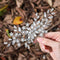 Unsutuo Crystal Bride Wedding Hair Comb, Silver Rhinestone Flower Bridal Hair Accessories for Women