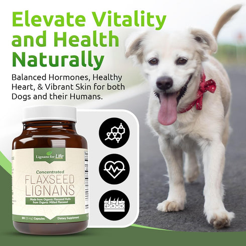 Lignans For Life Flaxseed Lignans for Dogs & People, Omega 3 Fatty Acids, 15mg, 180 Capsules, 1 Pack