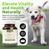 Lignans For Life Flaxseed Lignans for Dogs & People, Omega 3 Fatty Acids, 15mg, 180 Capsules, 1 Pack