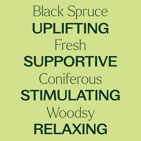 Plant Therapy Black Spruce Essential Oil, 30 mL (1 oz), 100% Pure, Undiluted, Therapeutic Grade