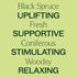 Plant Therapy Black Spruce Essential Oil, 30 mL (1 oz), 100% Pure, Undiluted, Therapeutic Grade
