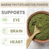 AKI Marine Phytoplankton Powder - Source of Raw Omega-3 EPA Micro Algae for Overall Wellness, Vegan & GMO Free (2 Oz /