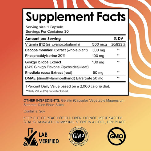 Vital Vitamins Brain Supplements - Memory and Focus Support (2 Pack) with Vitamin B12, Ginkgo Biloba, DMAE