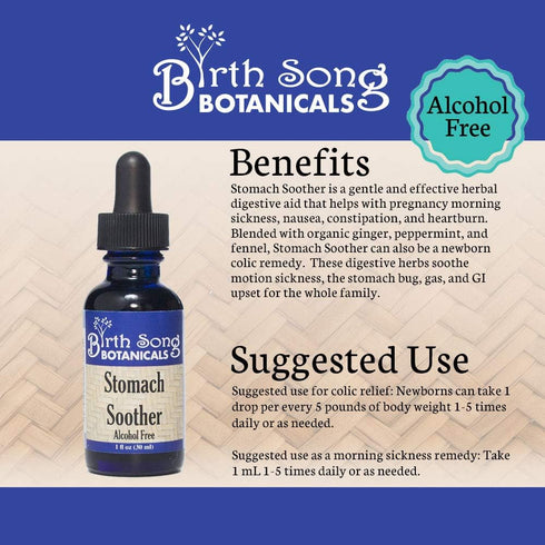 Upset 1oz Birth Song Botanicals Stomach Soother Tincture Herbal Digestion Support Supplement for Stomach & Motion