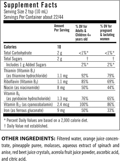 Flora Iron with B-Vitamin Complex - Non-Constipating Liquid Iron Supplement, 15-oz. Glass Bottle