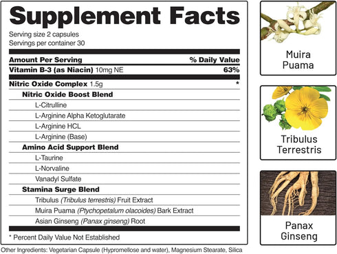 Snap Supplements Nitric Oxide Booster, Supports Healthy Blood Circulation, 60 Capsules