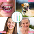 WLLHYF 4PCS End Tuft Toothbrush, Nylon Soft Bristle Tiny Small Tooth Brush, Hard to Reach Areas Dental Detail Cleaning