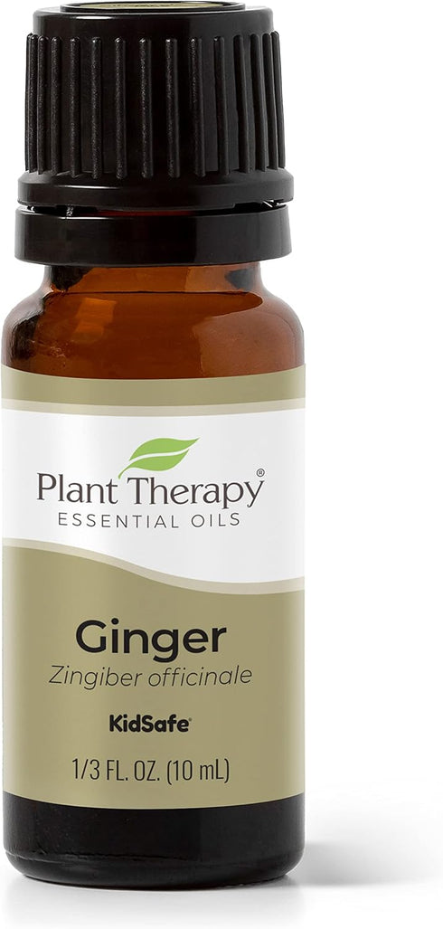 Plant Therapy Ginger Steam Distilled Essential Oil - 10 mL (1/3 oz), 100% Pure, Natural Aromatherapy