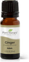 Plant Therapy Ginger Steam Distilled Essential Oil - 10 mL (1/3 oz), 100% Pure, Natural Aromatherapy