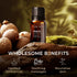 Gya Labs Allspice Essential Oil - 0.34 Fl Oz 100% Pure Natural Oil for Diffuser, Skin, and Candle Making