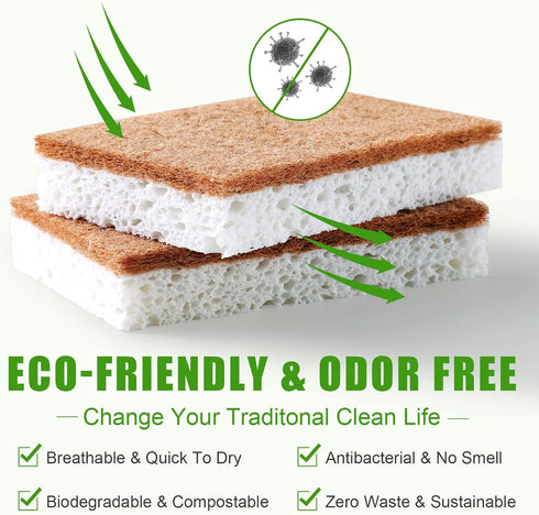 Biodegradable Natural Kitchen Sponge, Eco Friendly Compostable Cellulose Sponge with Coconut Walnut, Pack of 12