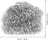 4pcs Wire Ball Pot Brush, Stainless Steel, Reusable Cleaning Brush for Kitchen Pots and Bowls