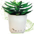 Sleep Plant Sound Machine - Fan Sounds - White Noise - Nature Sounds