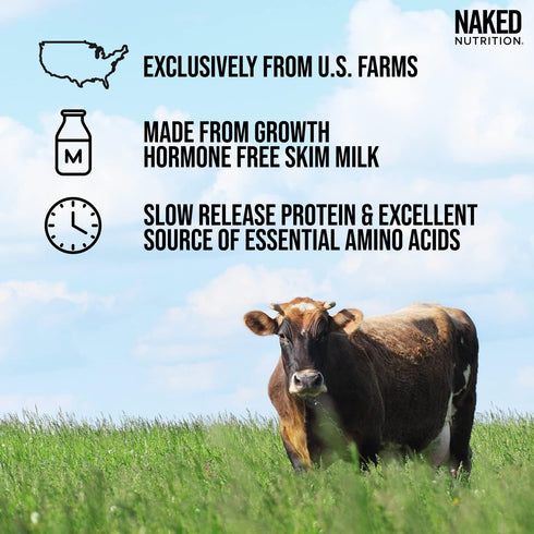 Naked Casein, 1Lb Micellar Casein Protein, Bulk, GMO-Free, Gluten Free, 15 Servings