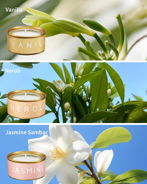 Set, 6-Pack Floral Scented Candles Gift Natural Beeswax with Essential Oils, Holiday Aromatherapy Candles for Christmas