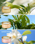 Set, 6-Pack Floral Scented Candles Gift Natural Beeswax with Essential Oils, Holiday Aromatherapy Candles for Christmas