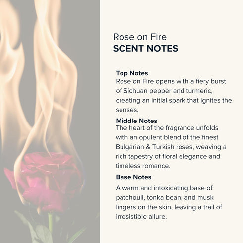 ANTHOLOGY Rose on Fire Roll on Perfume oil for Women - 0.3oz 9 ML | Turkish Rose, Spicy Pepper, Musk
