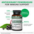NutraMedix Elderberry Antioxidants Supplement Capsules 500mg - Daily Immune Support & Healthy Inflammatory Response (60