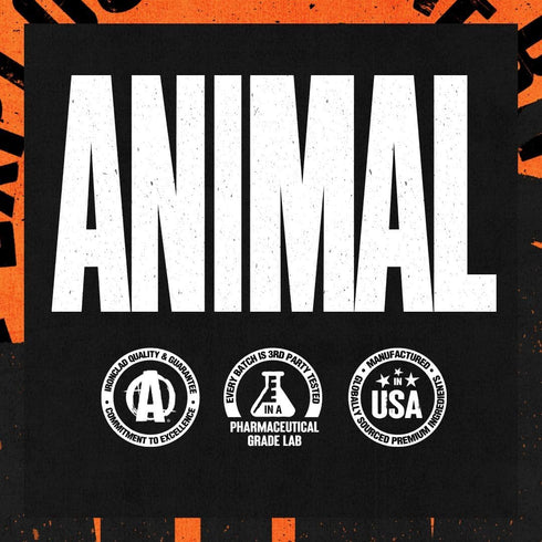 Animal Fury Pre Workout Powder Supplement for Energy and Focus, 5g BCAA, 350mg Caffeine, Watermelon, 16.96 Ounce
