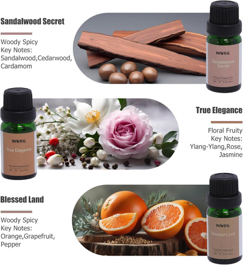 Set 6 10ML Gift of Premium Fragrance Oils - Fragrance Oils for Perfume, Soap & Candle Making Scents, Wild Rose