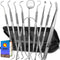 Dental Tools, 10 Pack Professional Plaque Remover, Stainless Steel Dental Hygiene Kit with Case