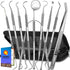 Dental Tools, 10 Pack Professional Plaque Remover, Stainless Steel Dental Hygiene Kit with Case